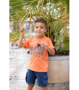 Sturdy T-shirt Palmtree - El Sol - Oranje