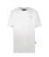 Cars FESTER TS White