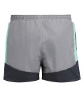 Retour SwimShort Felix - light steel