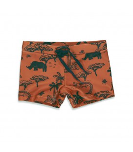 Feetje Zwembroekje AOP - Wild One - Brique
