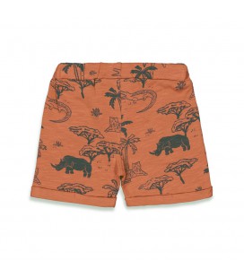 Feetje Short AOP - Wild One - Brique