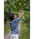 Sturdy T-shirt AOP - Explore More