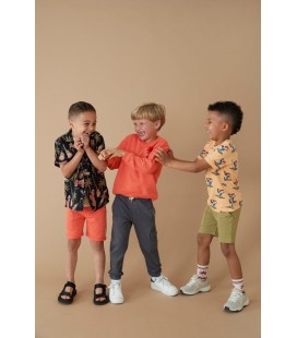 Sturdy Overhemd k/m AOP - Happy Rio