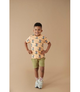 Sturdy Short - Happy Rio