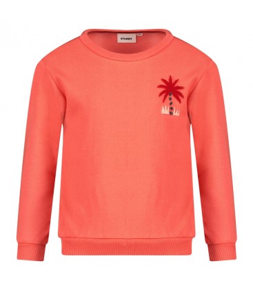 Sturdy Sweater - Happy Rio