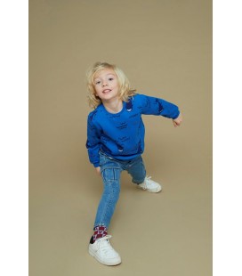 Sturdy Sweater AOP - Waves and Whales