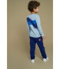 Sturdy Longsleeve - Waves and Whales