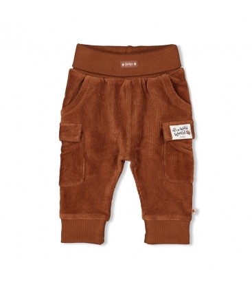 Feetje Broek velours rib - Wild World