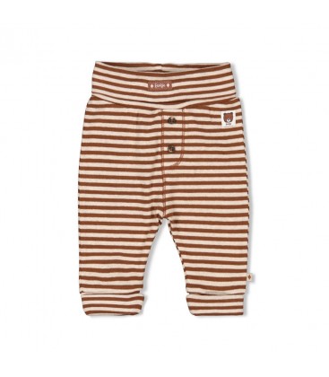 Feetje Broek streep - Wild World