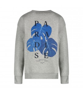 Carsjeans DISO SW Grey Melee