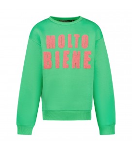 Carsjeans LYNCY SW Green