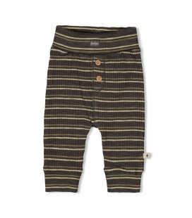 Feetje Broek rib met streep - Rawrsome