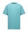 Carsjeans FARNO TS Mint