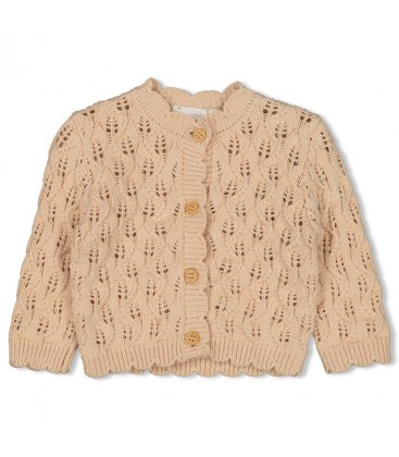 Feetje Vestje gebreid - Flower Ranch