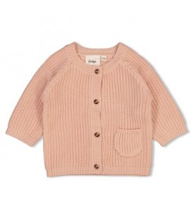 Feetje Vestje gebreid - The Magic is in You