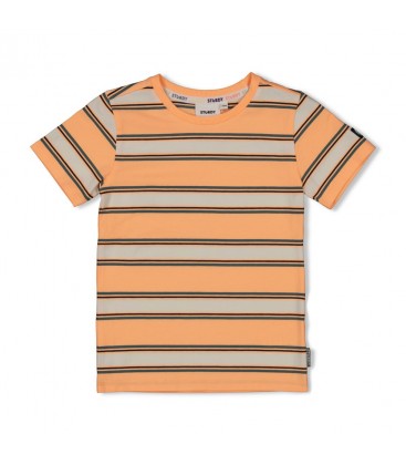 Sturdy T-shirt streep - Lagoon Legends