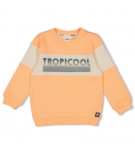 Sturdy Sweater - Lagoon Legends