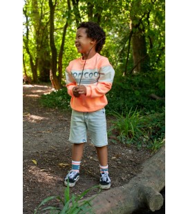 Sturdy Sweater - Lagoon Legends