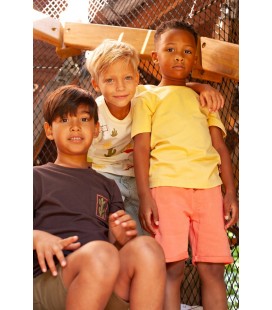 Sturdy Short - Desert Fiesta