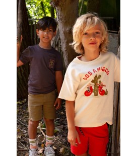 Sturdy T-shirt oversized - Desert Fiesta