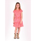 B.Nosy girls dress Darla