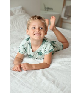 Timmy Turtle - Premium Summerwear by Feetje