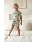 Timmy Turtle - Premium Summerwear by Feetje