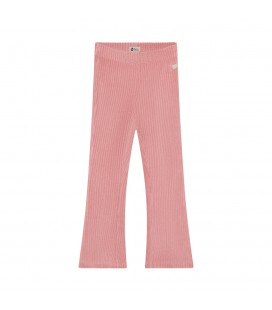 Daily7 Flared Velvet Pants