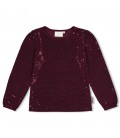 Jubel Longsleeve pailetten - Daily Princess