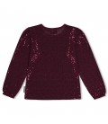Jubel Longsleeve pailetten - Daily Princess
