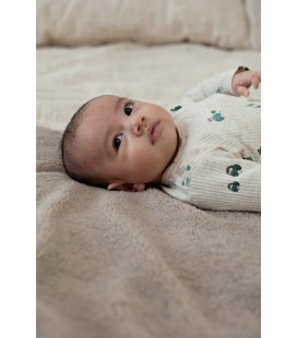 Feetje Longsleeve rib AOP - Beep Beep