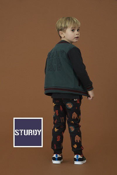 sturdy